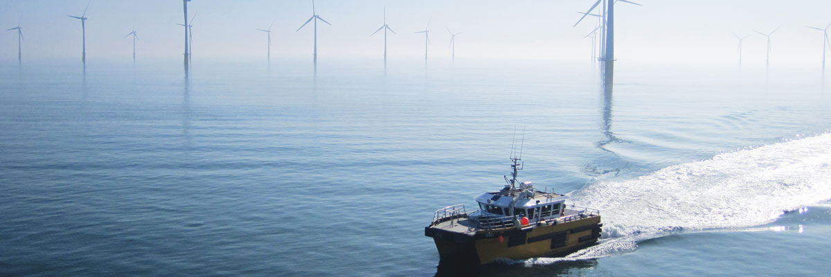 Offshore Wind Farm - Renewables